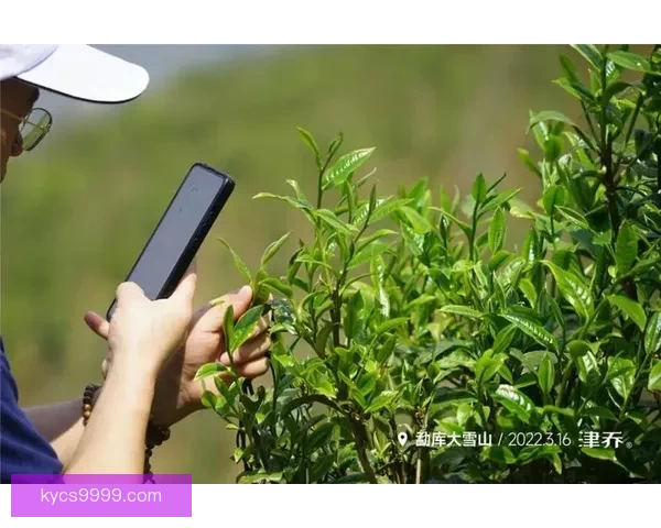 亚洲一线产区二线产区区别在哪？深度剖析背后的秘密！ 